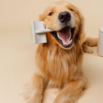 Günlük Bakım (DayCare)