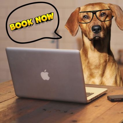 Ultimate Retreat (10gün) Konaklama + Günlük Bakım